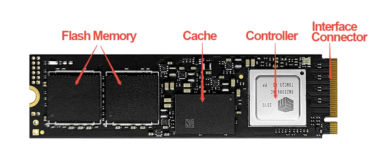 [SSD]